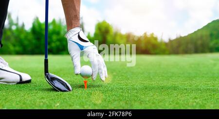 Close up golf ball on green grass field. sport golf club Stock Photo