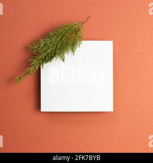 Empty canvas with green leaf on red background. top view, copy space Stock Photo
