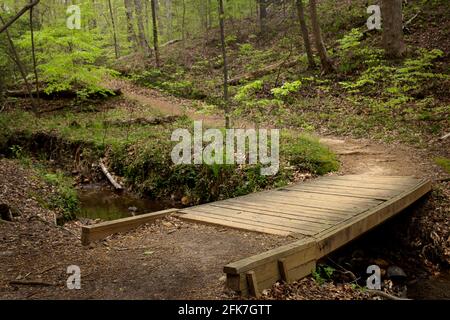 Walking bridge, Chicopee Woods Nature Preserve - Hall County, Georgia. A walking bridge across Homestead Creek along the Bridge Loop Trail. Stock Photo