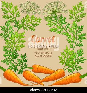 carrot frame on color background Stock Vector