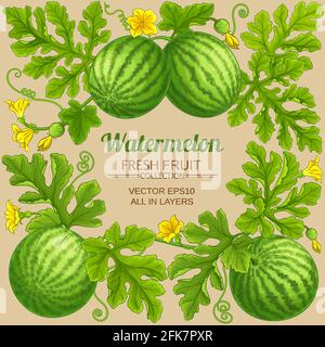 watermelon frame on color background Stock Vector