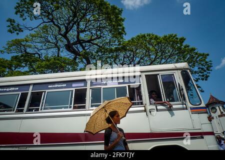 Kandy, Sri lanka: a woman shelters from the sun with an umbrella while waiting to get on the bus Stock Photo