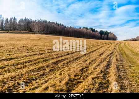 open air meadow with faded grass in a autumn season with forest and mountains on a horizon. natural landscape, horizontal photo Stock Photo