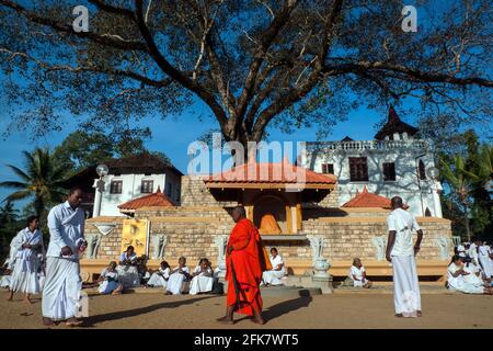 Kandy, Sri Lanka: a Buddhist monk walks in front of some women dressed in white sit eating inside the temple of sacred tooth relic Stock Photo