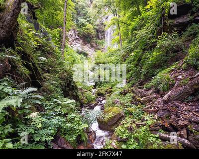 waterfall in forest trekking path in summer, European forest in Central Europe. Environment, ecology, clean water, climate change, eco nature Stock Photo