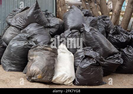 A large pile of black garbage bags. Garbage removal on the city streets. Seasonal cleaning of city streets. Cleaning service Stock Photo