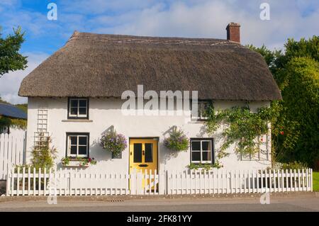 Pretty thatched cottage in Gunwalloe, Cornwall, UK. This house was once the residence of Compton Mackenzie, the author of Whiskey Galore - John Gollop Stock Photo