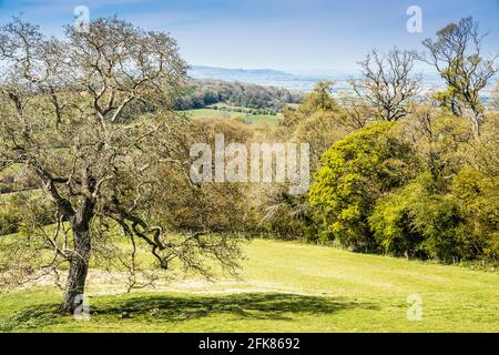 Spring view over rolling countryside in the Worcestershire Cotswolds. Stock Photo