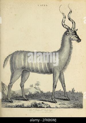 Classical Dictionary of Natural Sciences Stock Photo - Alamy