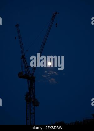 Two immense tower cranes in silhouette against a deep blue twilight sky with moonlit silver clouds. Stock Photo
