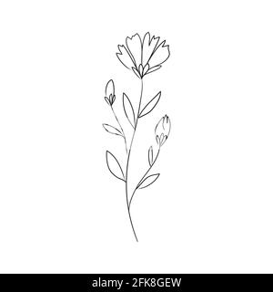 Sketch a leaf branch by hand on an isolated background. Vector, illustration Stock Vector