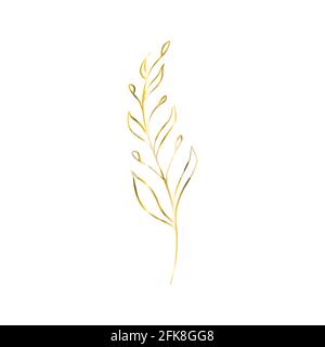 The golden sprig. Vector image with a golden twig. Template for the logo element. Editable geometric element isolated on white. Stock Vector
