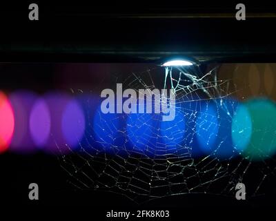 A spider web built between railings and lit by an LED, with a band of defocused coloured lights behind. Stock Photo