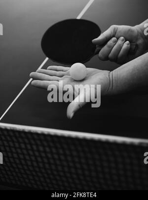 table tennis player serving, closeup. ping pong Stock Photo