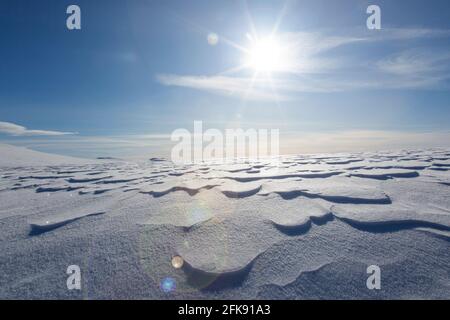 Wind-induced snow crusts on the tundra in the Dovrefjell–Sunndalsfjella National Park in winter, Norway Stock Photo