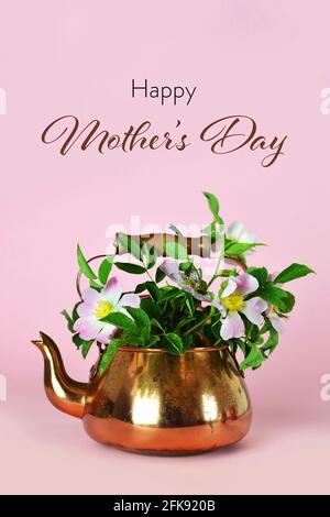 Happy Mothers Day card. Wild roses in old copper teapot on pink background Stock Photo