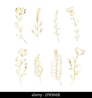 Set of golden flowers. Decoration floral elements for wedding. Vector isolated spring gold poppy, rose, lily. Stock Vector