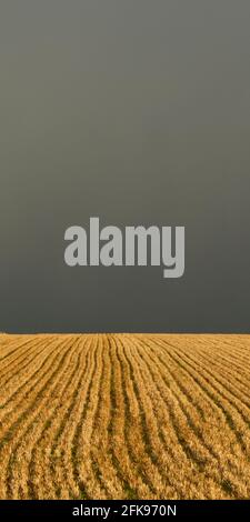 Stormy sky above sunlit fields Stock Photo