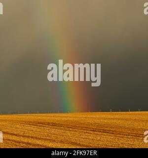 Stormy sky and rainbow above sunlit fields, Orkney Isles Stock Photo