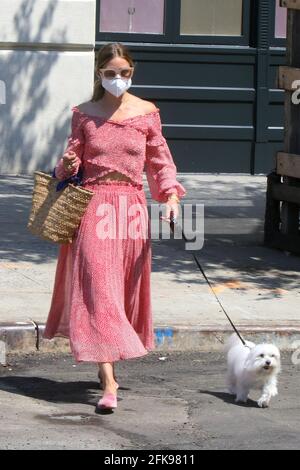 Olivia Palermo serves goddess vibes in floral dress as she takes dog Mr.  Butler for walk in Brooklyn