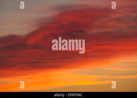 Sunlit cirrus clouds, Scotland Stock Photo