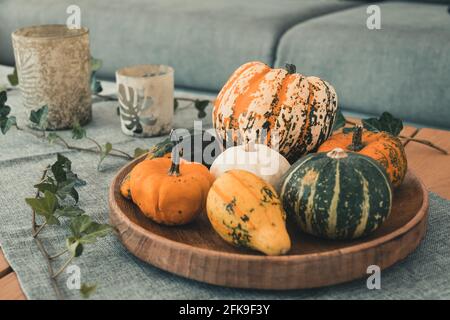 Various edible and decorative pumpkins on a round wooden tray as decoration on an oak living room table Stock Photo