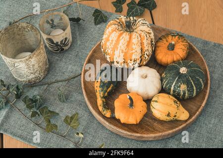 Various edible and decorative pumpkins on a round wooden tray, green glasses and ivy as decoration on a living room table Stock Photo