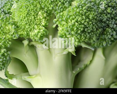 green fresh raw broccoli background, close up Stock Photo