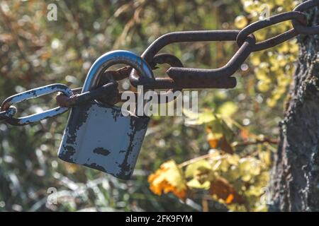Padlock on an iron chain in an overgrown garden. The engraving says 'special' (german spezial) and is NOT the brand name. Stock Photo