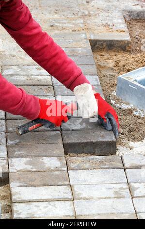 A worker's hands lay the paving slabs on the prepared flat sandy soil on the sidewalk in the daytime. Vertical image, copy space. Stock Photo