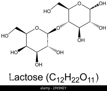 Lactose milk sugar disaccharide molecule chemical formula Stock Photo