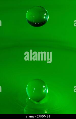 abstract green drops of water on a green background. Stock Photo