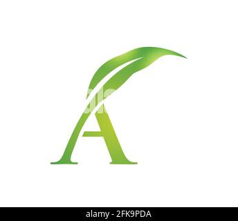 A vector Illustration of Green Leaf Monogram Initial Letter A in white background Stock Vector