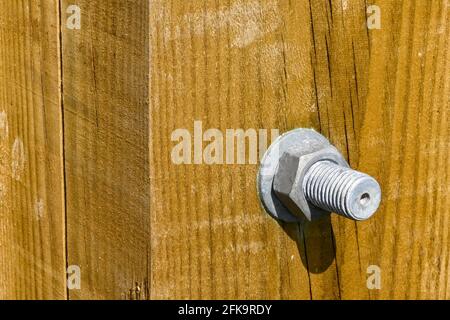Close up view of a large metal nut and bolt fixing  in a heavy wooden post. No people. Copy space. Stock Photo