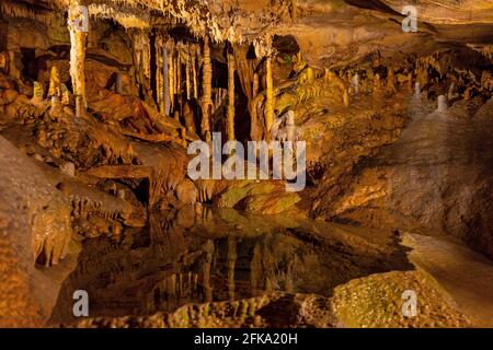 Caves of Han are a network of underground caves in Han Sur Lesse close to Rochefort, Wallonia, Belgium. Stock Photo