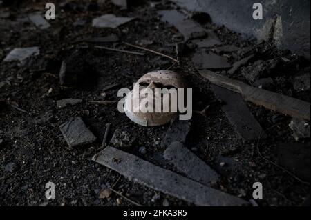 the abandoned white ceramic mask Stock Photo