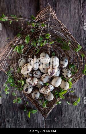 Rustic decoration still life with quail eggs in the nest Stock Photo
