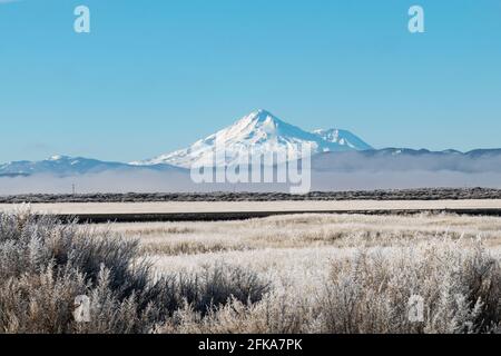 Mount Shasta seen from the Klamath Basin on a frosty winter morning. Stock Photo