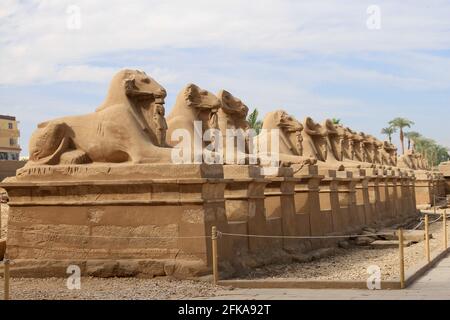 Row of carved ram-headed sphinx statues at Karnak Temples, Luxor, Egypt Stock Photo