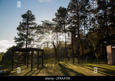 Landscape with blue sky and beautiful green field. Stock Photo