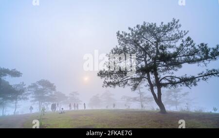 Tourists watching the dawn on a misty morning pine hill on the top of the highlands of Da Lat, Vietnam Stock Photo