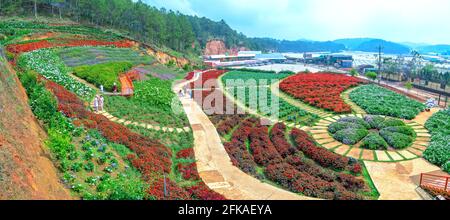 Flower garden viewed from above with many purple lavender flowers, Scarlet Sage, chrysanthemum in the eco-tourism area attracts visitors near Da Lat, Stock Photo