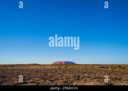 Uluru in the early morning Stock Photo