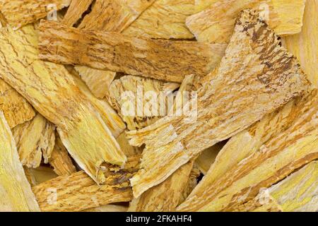 Closeup texture of dried Mongolian milkvetch, known as huang qí used in traditional Chinese medicine (Astragalus propinquus) Stock Photo