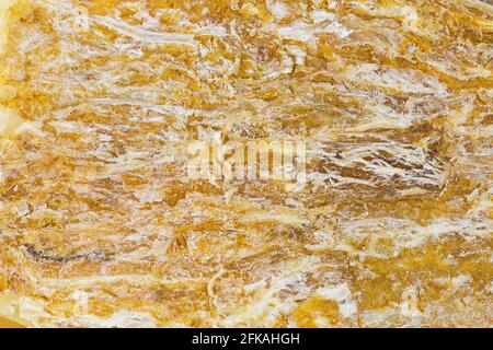 Closeup texture of dried Dong quai, Dang Gui, known as female ginseng, flattened root (Angelica sinensis) Stock Photo