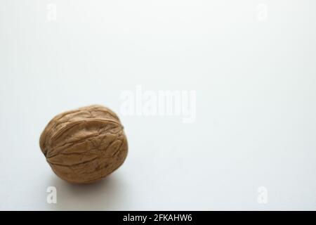 One whole walnut isolated on white background; autumn nuts Stock Photo