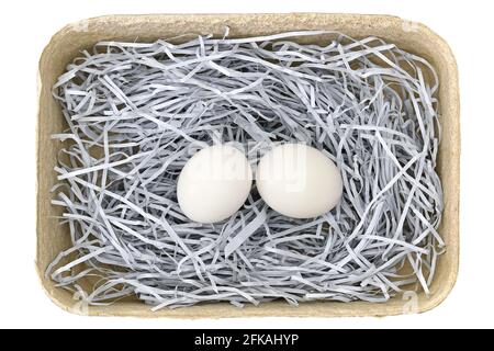 Beige paper pulp egg tray packages made of recycled paper full of fresh eggs isolated on white Stock Photo