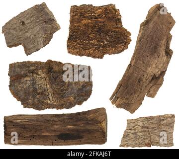 Collage set of dried bark and parts of pine tree trunk isolated on ...