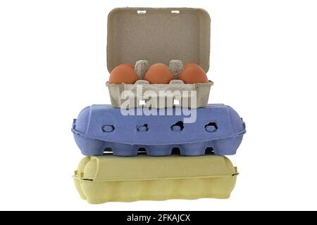 Paper pulp egg tray packages made of recycled paper in different sizes and colors full of fresh chicken eggs isolated on white Stock Photo