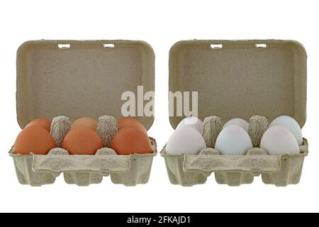 Beige paper pulp egg tray packages made of recycled paper full of fresh chicken and ducks eggs isolated on white Stock Photo